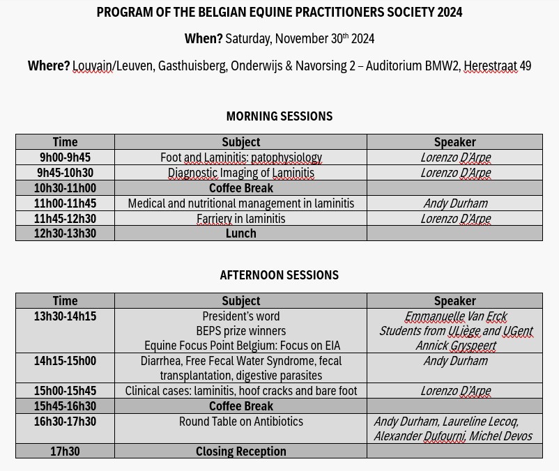 program BEPS 2024